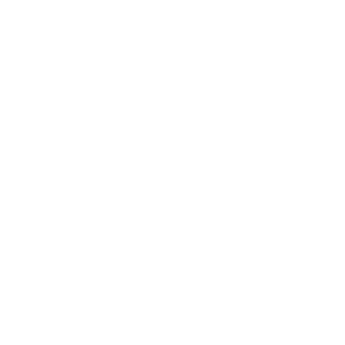 logo instagram